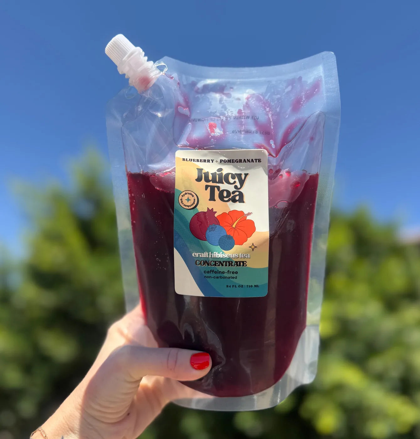 Juicy Tea Frozen Concentrate, Blueberry + Pomegranate