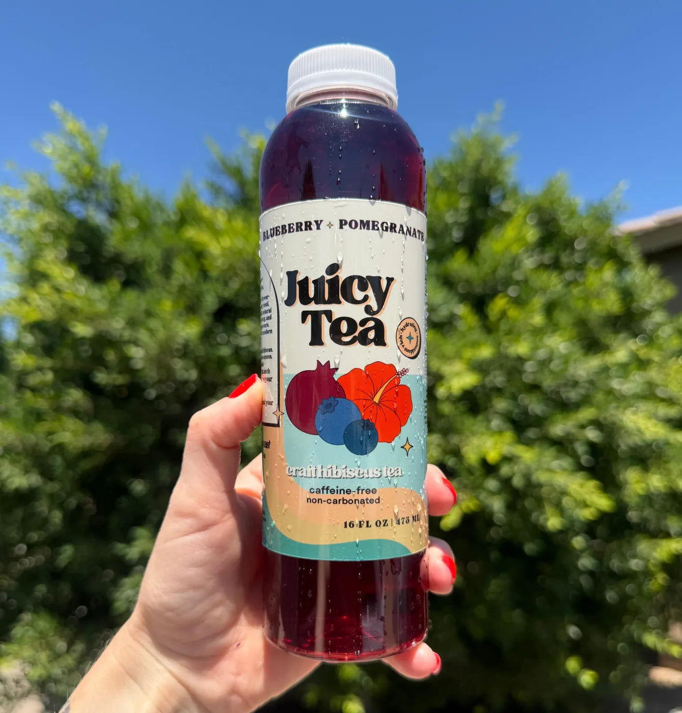 Juicy Tea x Lemonade, Blueberry + Pomegranate