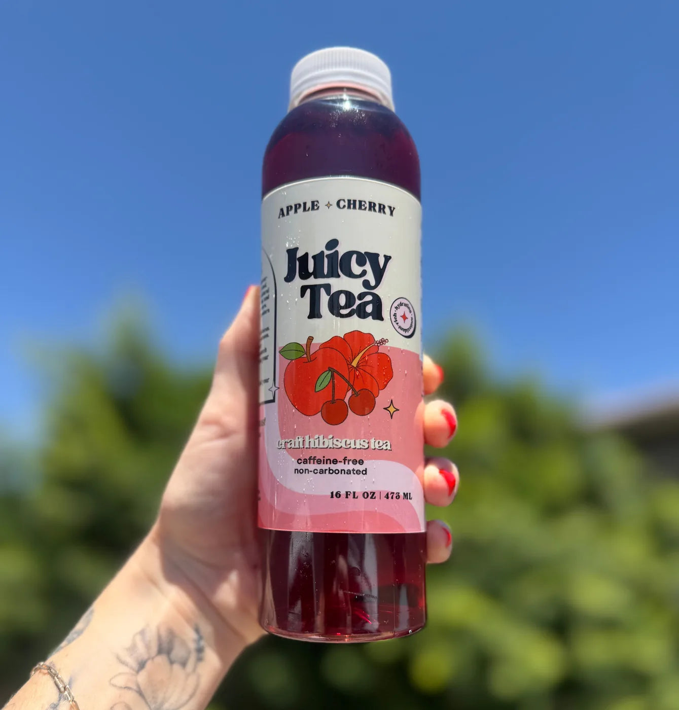 Juicy Tea Original, Blueberry + Pomegranate